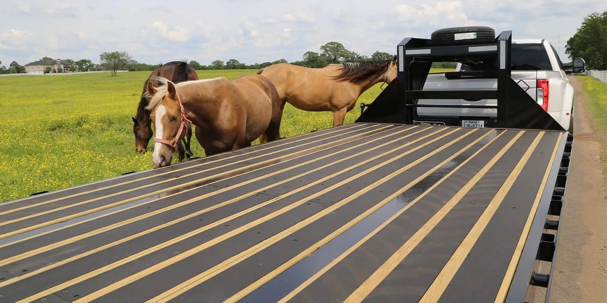 Big Tex Trailers for sale in Mississippi and Louisiana areas Big Tex Trailers for sale in Mississippi and Louisiana areas